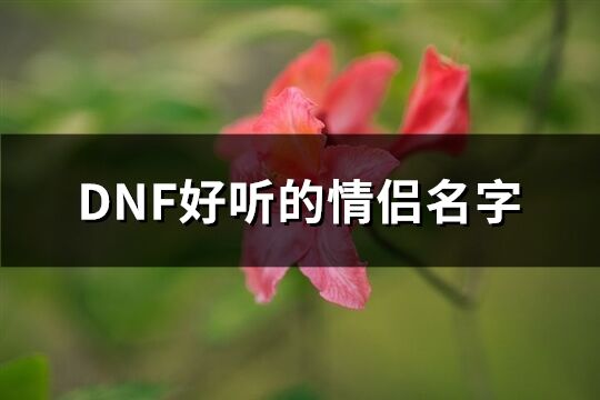 DNF好聽的情侶名字(共62個)