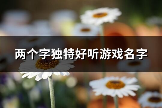 兩個字獨特好聽游戲名字(768個)
