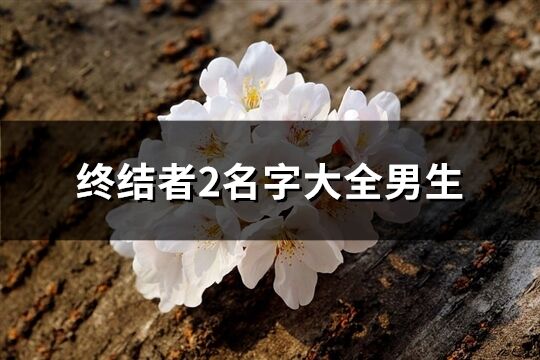 終結者2名字大全男生(優選60個)