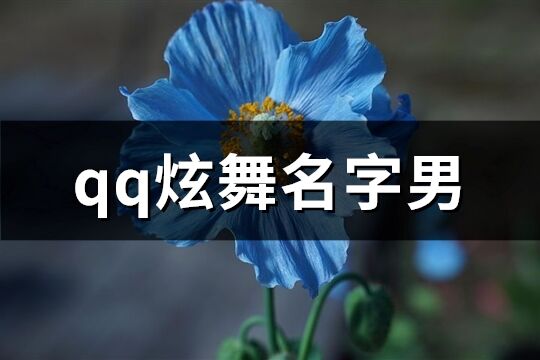 qq炫舞名字男(共342個)
