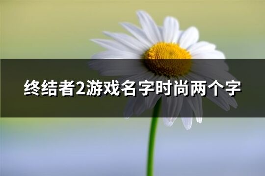 終結(jié)者2游戲名字時(shí)尚兩個(gè)字(397個(gè))