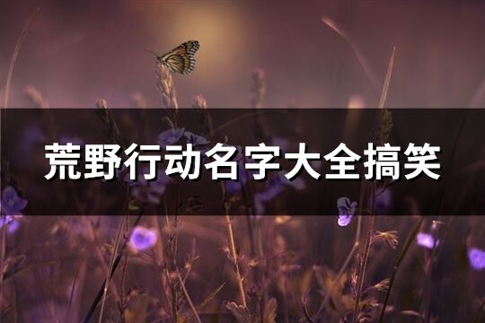 荒野行動名字大全搞笑(140個)