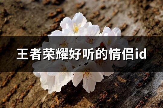 王者榮耀好聽的情侶id(優(yōu)選586個(gè))