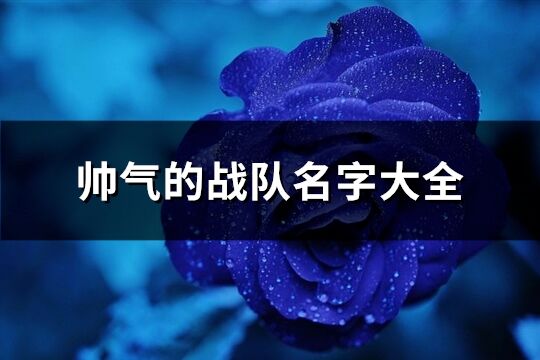 帥氣的戰隊名字大全(精選90個)