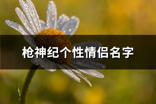 ***神紀個性情侶名字(共92個)