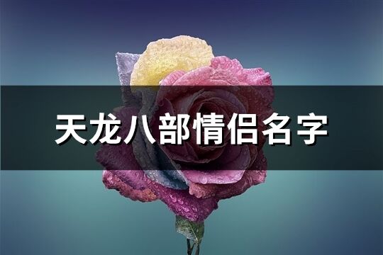 天龍八部情侶名字(232個)