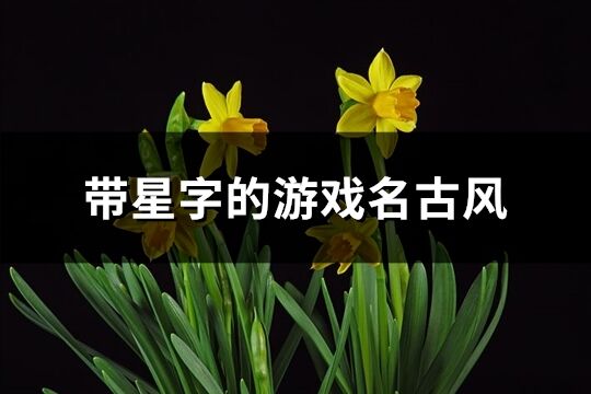 帶星字的游戲名古風(精選57個)