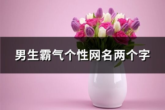 男生霸氣個(gè)性網(wǎng)名兩個(gè)字(精選942個(gè))