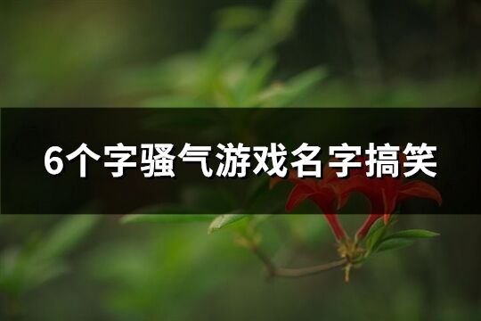 6個字騷氣游戲名字搞笑(精選339個)