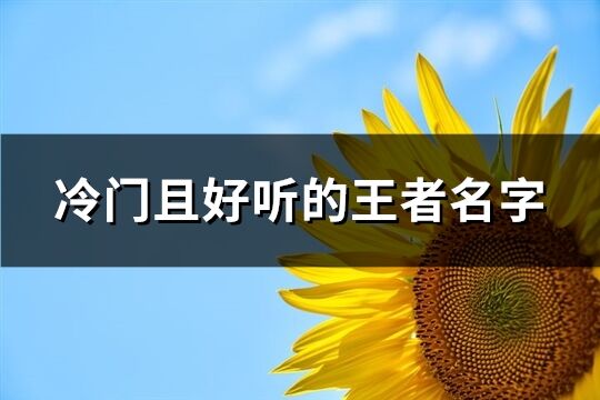 冷門且好聽的王者名字(精選195個)