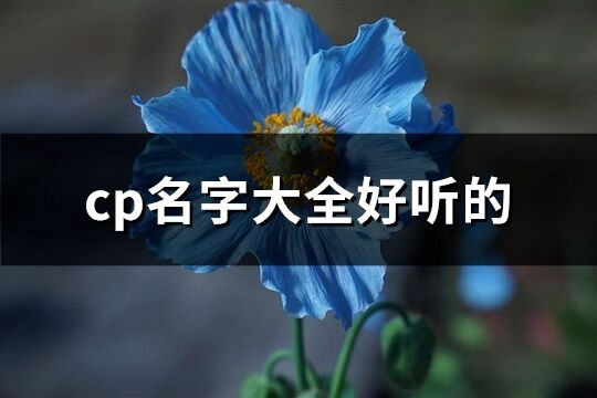 cp名字大全好聽的(81個)