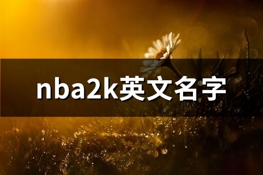 nba2k英文名字(共79個(gè))