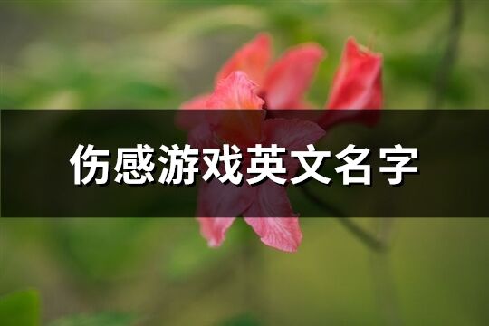 傷感游戲英文名字(138個(gè))