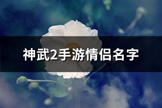 神武2手游情侶名字(精選77個(gè))