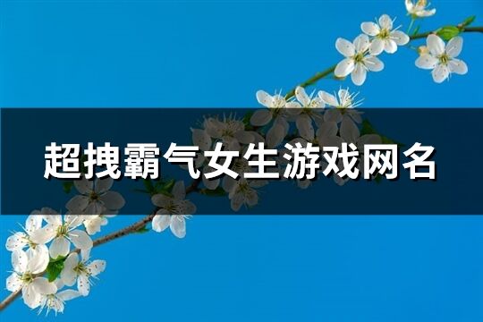 超拽霸氣女生游戲網名(361個)