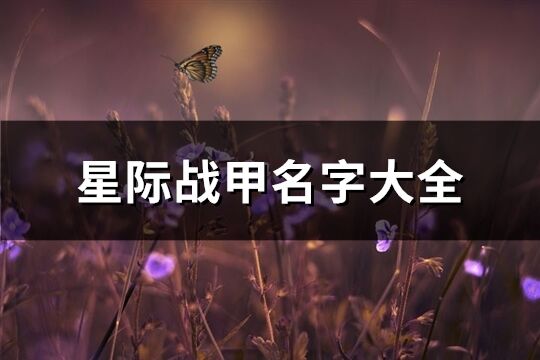 星際戰(zhàn)甲名字大全(248個(gè))