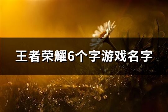 王者榮耀6個字游戲名字(優選978個)