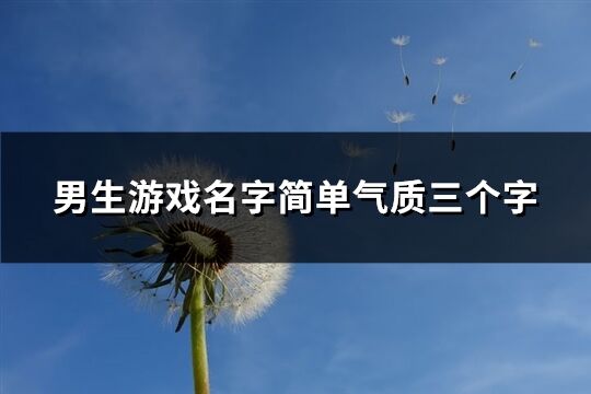 男生游戲名字簡(jiǎn)單氣質(zhì)三個(gè)字(精選370個(gè))