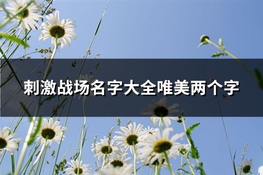 刺激戰場名字大全唯美兩個字(精選670個)