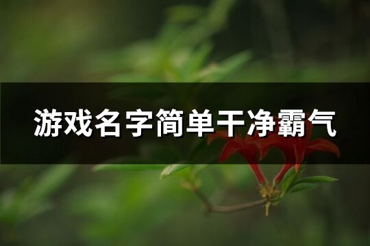 游戲名字簡單干凈霸氣(精選317個)