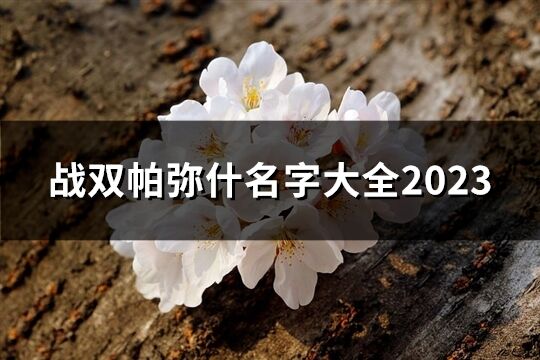 戰(zhàn)雙帕彌什名字大全2023(精選268個(gè))