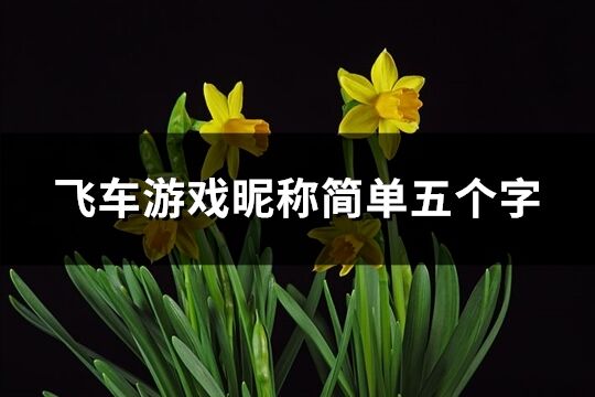 飛車游戲昵稱簡單五個字(共321個)