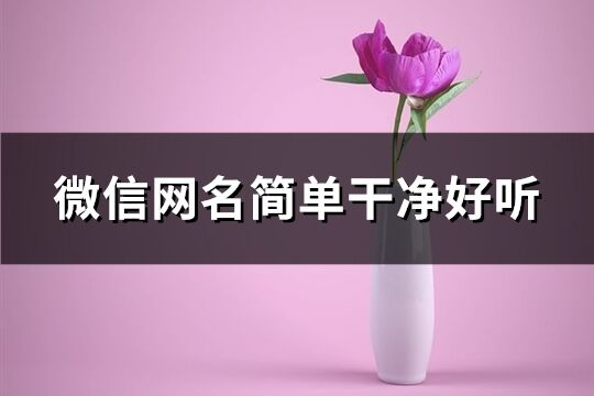 微信網名簡單干凈好聽