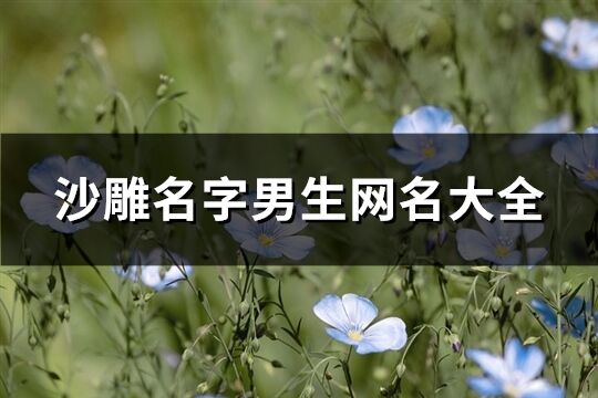 沙雕名字男生網名大全