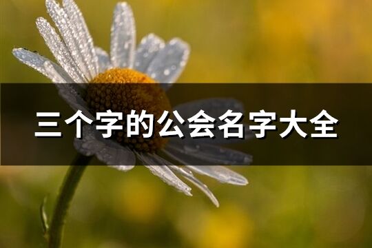 三個字的公會名字大全(共552個)