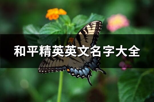 和平精英英文名字大全(67個)