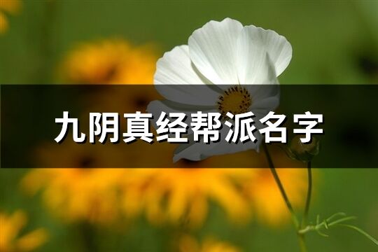 九陰真經幫派名字(優選267個)