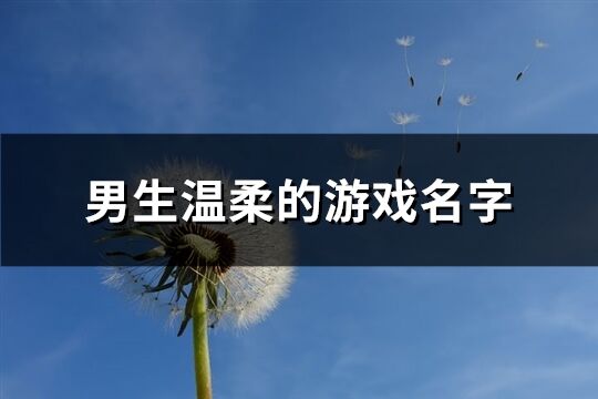 男生溫柔的游戲名字(精選278個)