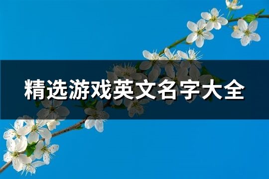 精選游戲英文名字大全(精選292個)