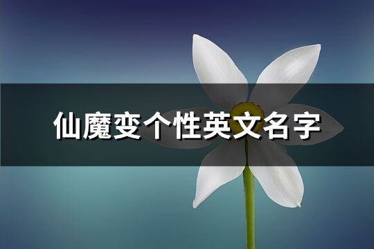 仙魔變個性英文名字(優(yōu)選79個)