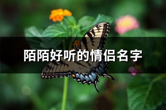 陌陌好聽的情侶名字(精選80個)