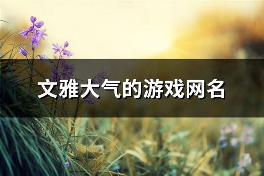 文雅大氣的游戲網名(共491個)