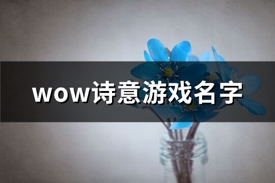 wow詩意游戲名字(優(yōu)選138個)