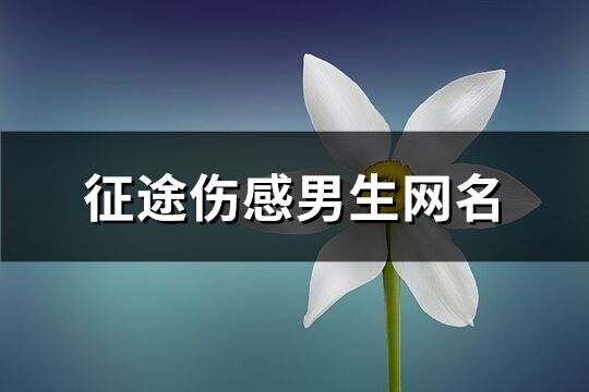 征途傷感男生網名(414個)