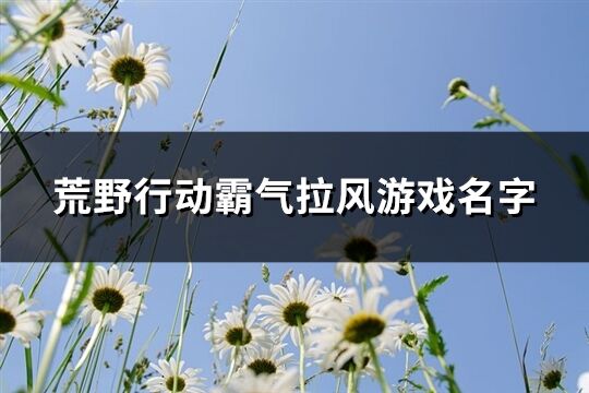 荒野行動霸氣拉風游戲名字(精選356個)