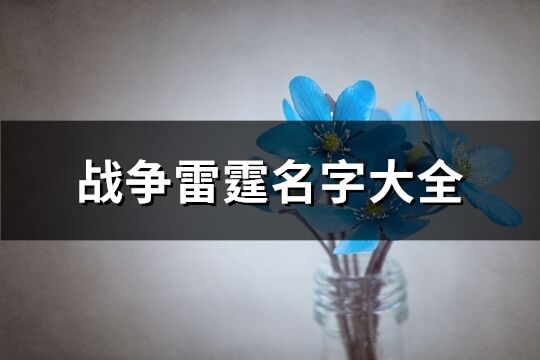 戰爭雷霆名字大全(共243個)