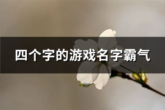 四個字的游戲名字霸氣(共664個)