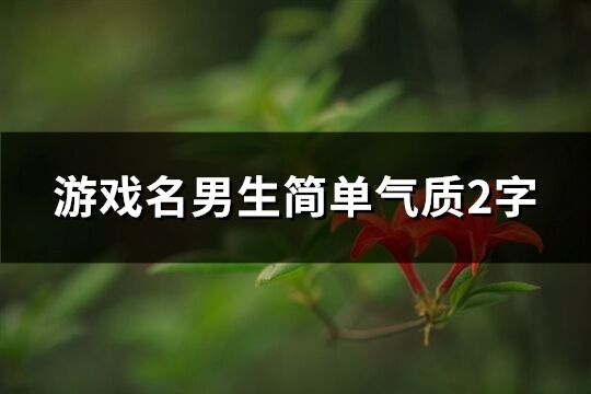 游戲名男生簡單氣質2字(優選581個)