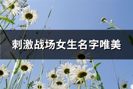 刺激戰場女生名字唯美(519個)