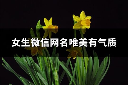 女生微信網名唯美有氣質(共417個)