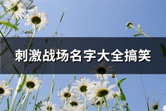 刺激戰(zhàn)場(chǎng)名字大全搞笑(共165個(gè))