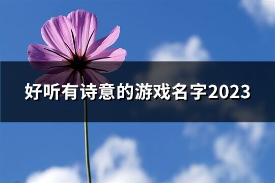 好聽有詩意的游戲名字2023(共60個)