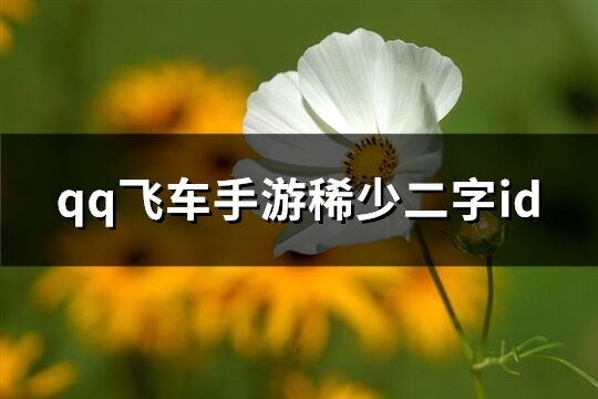 qq飛車手游稀少二字id(共223個(gè))