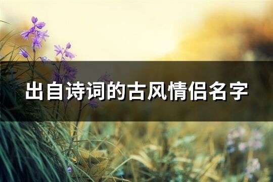 出自詩詞的古風(fēng)情侶名字(共56個(gè))