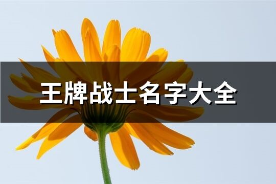 王牌***名字大全(468個(gè))