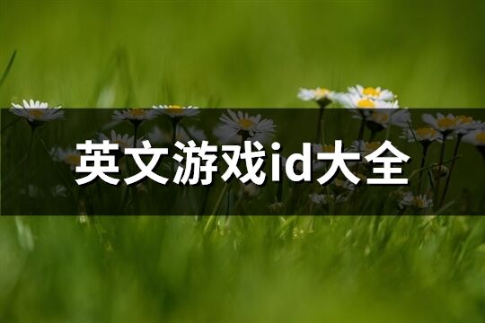 英文游戲id大全(共223個(gè))